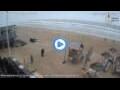 Webcam Egmond aan Zee