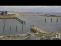 Webcam Ostseebad Damp