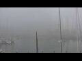 Webcam Ostseebad Damp