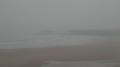 Webcam Tynemouth