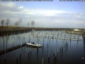 Webcam Fußach