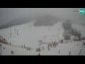 Webcam Kranjska Gora