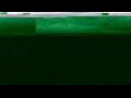 Webcam Olpenitz
