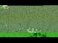 Webcam Olpenitz