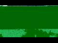 Webcam Olpenitz