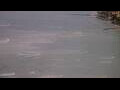 Webcam Waikiki Beach, Hawaii