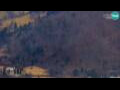 Webcam Bohinj