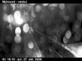 Webcam Seyðisfjörður