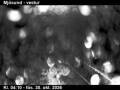 Webcam Seyðisfjörður