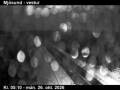 Webcam Seyðisfjörður