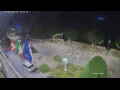 Webcam Cannobio
