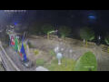 Webcam Cannobio