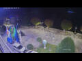 Webcam Canobio