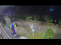Webcam Cannobio