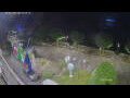 Webcam Cannobio