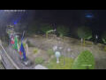 Webcam Cannobio