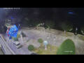 Webcam Cannobio
