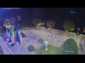 Webcam Canobio