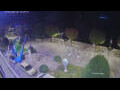 Webcam Cannobio