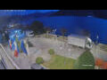 Webcam Cannobio