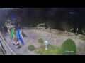 Webcam Cannobio