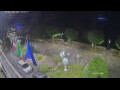 Webcam Cannobio