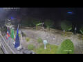 Webcam Canobio