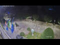 Webcam Cannobio