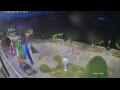 Webcam Canobio