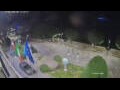 Webcam Canobio