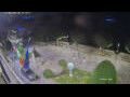 Webcam Cannobio