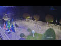 Webcam Cannobio