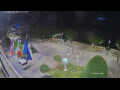 Webcam Cannobio