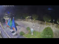Webcam Canobio