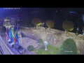 Webcam Cannobio