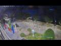 Webcam Canobio