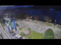 Webcam Cannobio