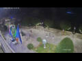 Webcam Cannobio