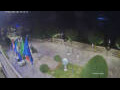 Webcam Canobio