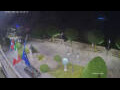 Webcam Cannobio