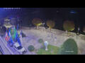 Webcam Cannobio
