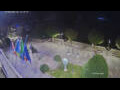 Webcam Canobio