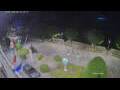 Webcam Canobio