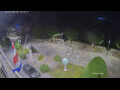 Webcam Cannobio