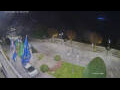 Webcam Cannobio