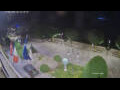Webcam Cannobio