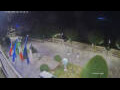 Webcam Canobio