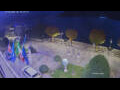 Webcam Cannobio