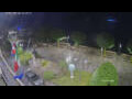 Webcam Canobio