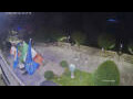 Webcam Cannobio
